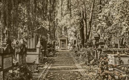 cmentarz Rakowicki nagrobki grobowce